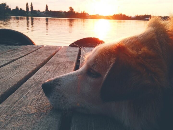 Brak kultury osobistej na plaży: fenomen, który psuje wakacyjny wypoczynek