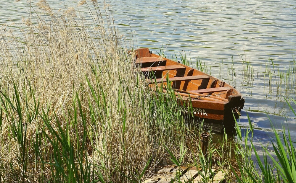 Problemy z parkowaniem nad Pogorią III – ulubionym miejscu wypoczynku Ślązaków