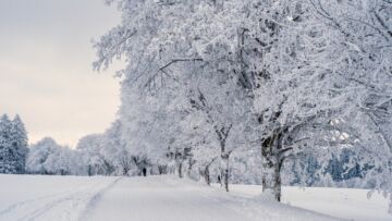 Wzajemna troska o bezdomnych i dbałość o drogi podczas zimy