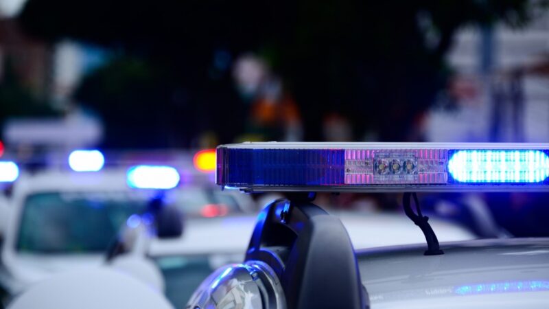 Interaktywne spotkanie z mundurowymi w Dąbrowskim Centrum Handlowym Pogoria