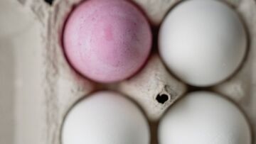 Pomoc świąteczna dla mieszkańców Dąbrowy Górniczej: Dowóz bezpłatnych śniadań wielkanocnych