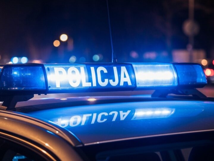 Policja w Dąbrowie Górniczej poszukuje właściciela porzuconego amstaffa