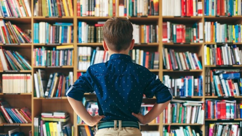 Konkursy na stanowiska dyrektorów w dąbrowskich placówkach oświatowych