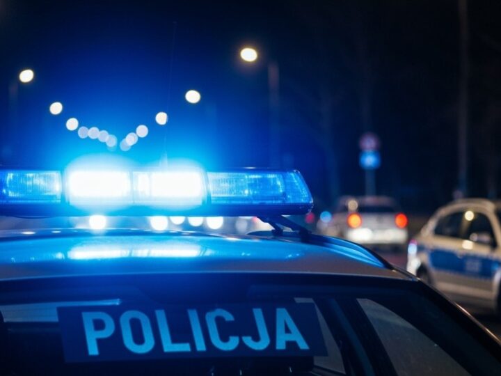 Wspólne poszukiwania zaginionych w Dąbrowie Górniczej – program apeluje o pomoc społeczeństwa