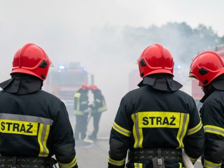 Wypalanie traw: niebezpieczeństwo i zniszczenia w środowisku