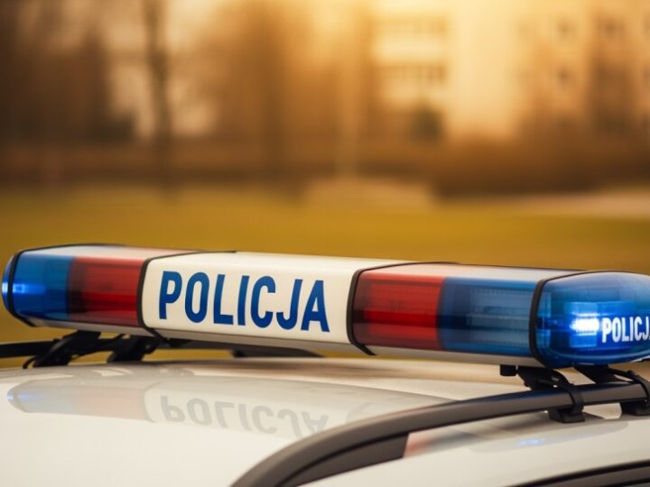 66-latek zatrzymany za strzelanie do kotów z wiatrówki, grozi mu do 5 lat więzienia