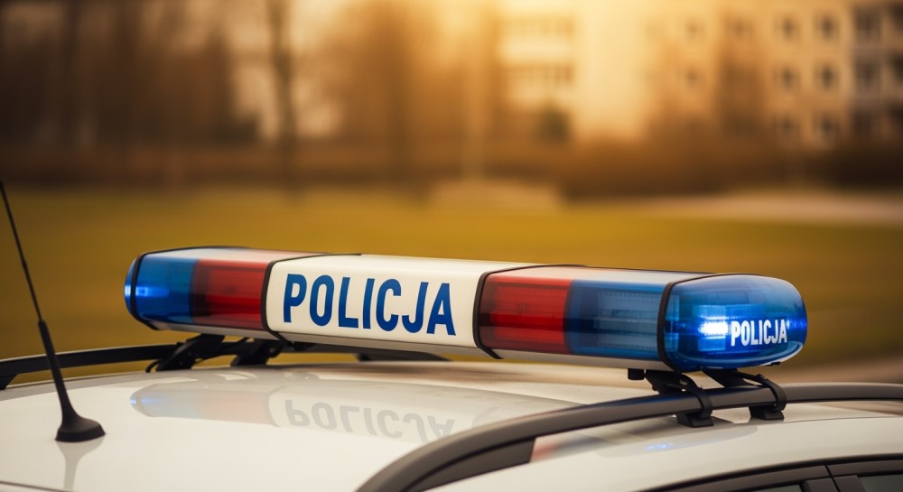 66-latek zatrzymany za strzelanie do kotów z wiatrówki, grozi mu do 5 lat więzienia