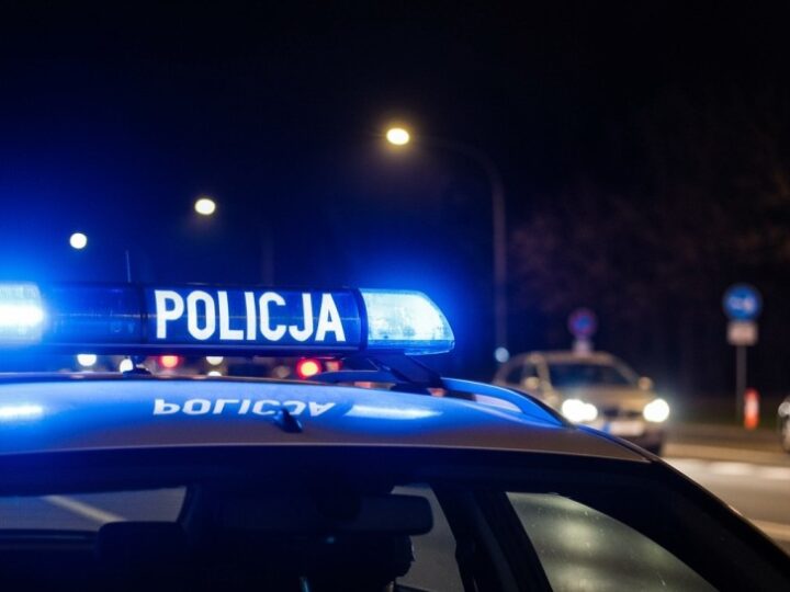 Czeski kierowca z fałszywym prawem jazdy zatrzymany przez policję w Raczkach Elbląskich