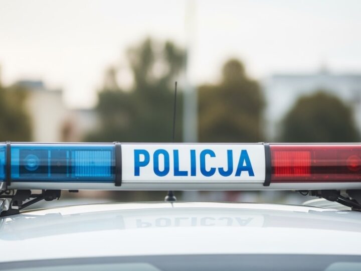 Dzień otwarty motoryzacji z udziałem policji w Dąbrowie Górniczej