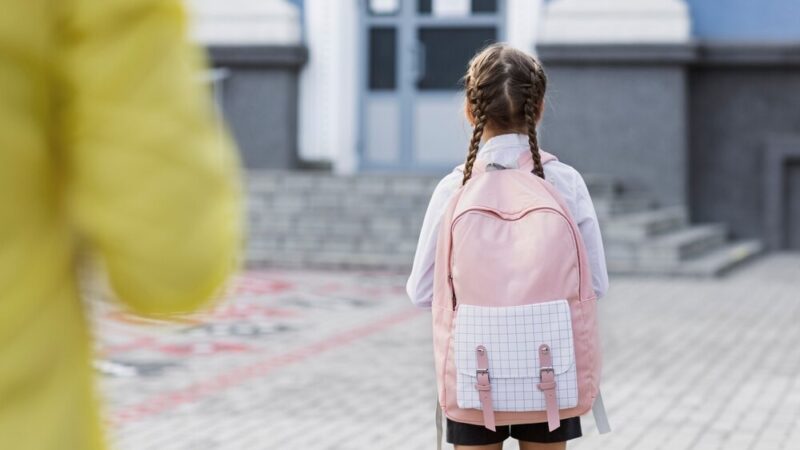 Majowy czas na grillowanie i rozwój – odkryj oferty Dąbrowskiego Inkubatora Przedsiębiorczości!