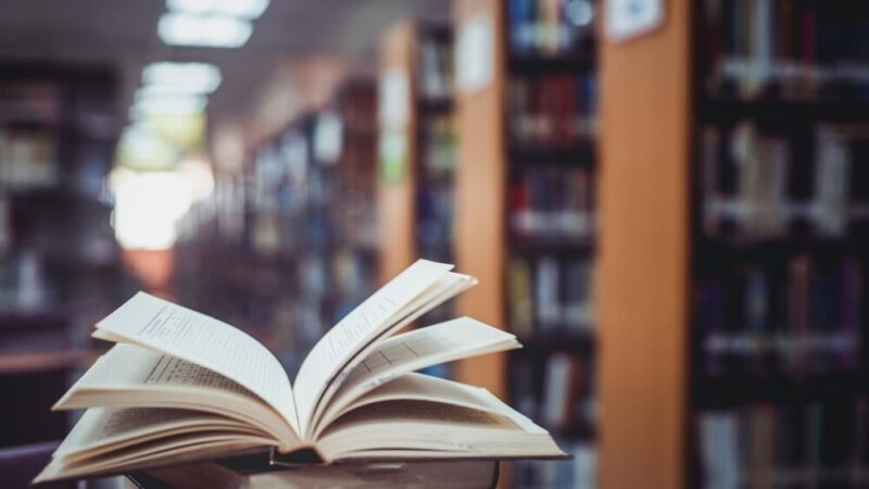 Maja Wolny: Odważna pisarka i podróżniczka w Bibliotece 11 czerwca