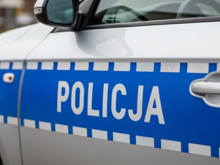 Trójka zatrzymana z ponad 10 kg narkotyków w Elblągu