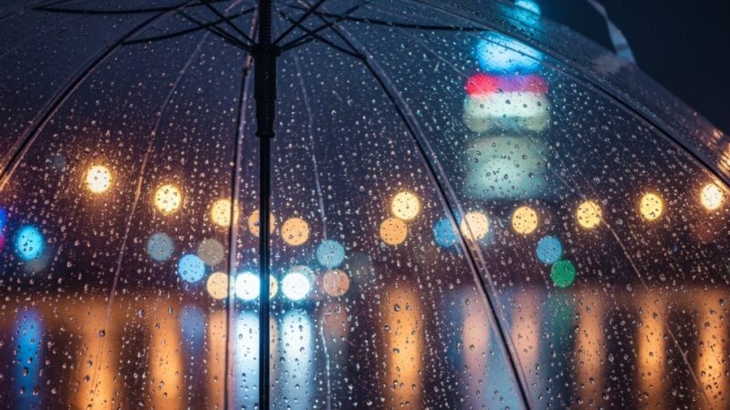 Bezpieczne lato: jak przetrwać upały?