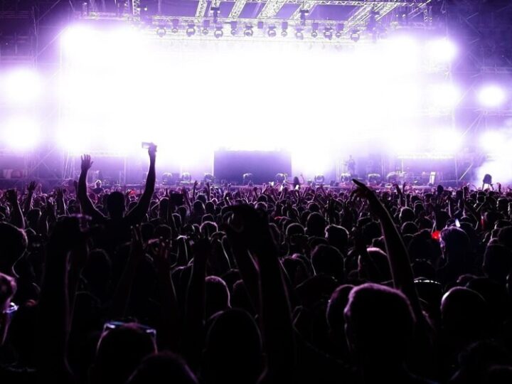 Ziemniaki zaskakują na III Festiwalu Kultury Zagłębiowskiej!